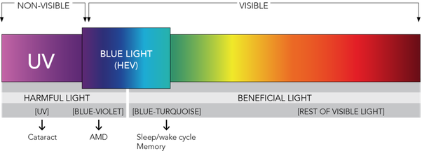 espectro de la luz